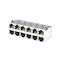XMD-45048-46M151-TEJ 8P8C Stacked RJ45 2x6 Without Magnetics Connector LPJE265A4NL